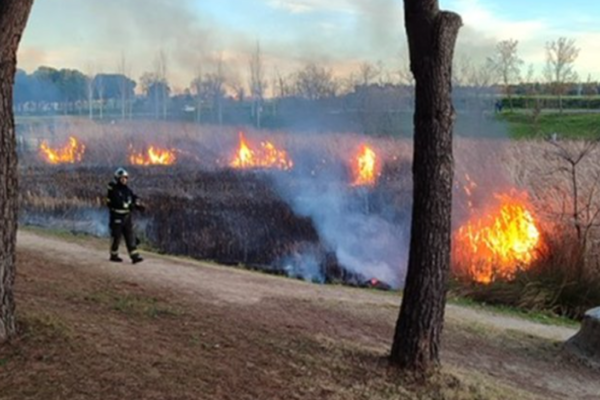 Incendio en el Parque Lineal de Burtarque de Leganés