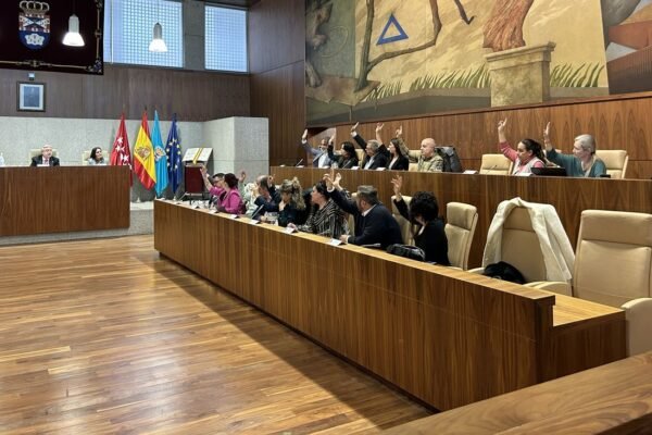 Pleno del Ayuntamiento de Leganés