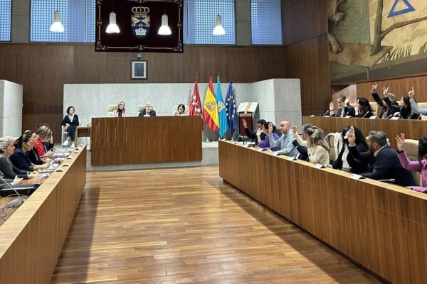 Pleno del Ayuntamiento de Leganés