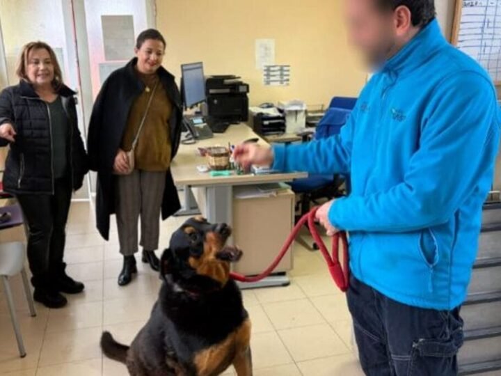 Leganés aprueba la reforma del Centro de Protección Animal con un presupuesto de 400.000 euros