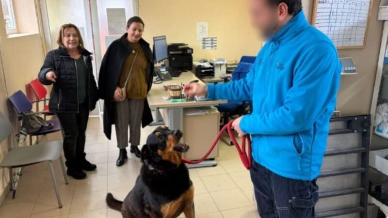 Leganés aprueba la reforma del Centro de Protección Animal con un presupuesto de 400.000 euros